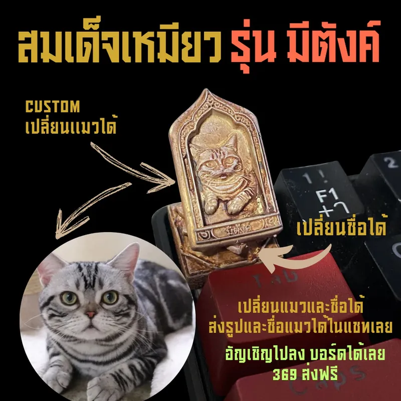 สมเด็จเหมียว รุ่นมั่งคั่ง