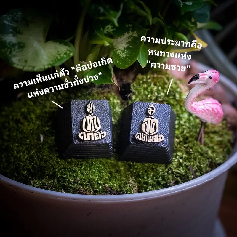 คีย์แคปคติธรรมคู่